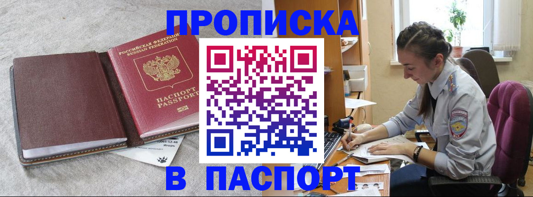 где прописаться в Дмитрове